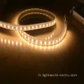 Boupe flexible LED à haute tension de 50 m de long de 50 m de long